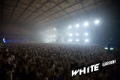 july25-2fwhite-6665.jpg